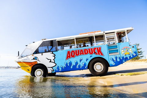 Aquaduck & Your Choice Of Gold Coast Rainforest Tour - Kawana Tourism 3