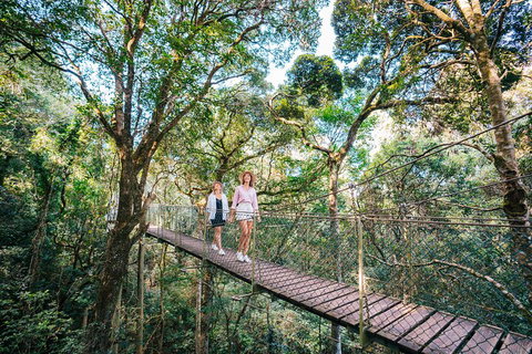 Aquaduck & Your Choice Of Gold Coast Rainforest Tour - Kawana Tourism 4
