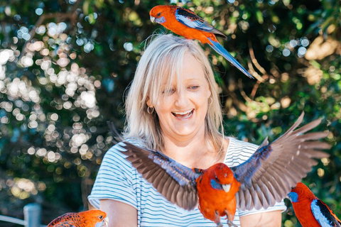 Aquaduck & Your Choice Of Gold Coast Rainforest Tour - Kawana Tourism 5