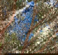 Kangaroo Island 4WD Tour - Best of KI in 2 Days - Kawana Tourism