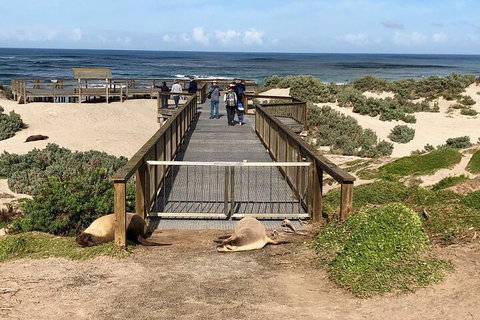 Kangaroo Island 4WD Tour - Best Of KI - Kawana Tourism 2