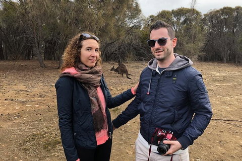 Kangaroo Island 4WD Tour - Best Of KI - Kawana Tourism 3