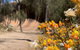 The Big Wave Rock (Private) Day Tour - thumb 3