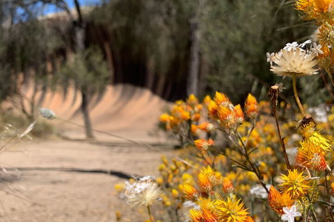 The Big Wave Rock (Private) Day Tour - Kawana Tourism 3