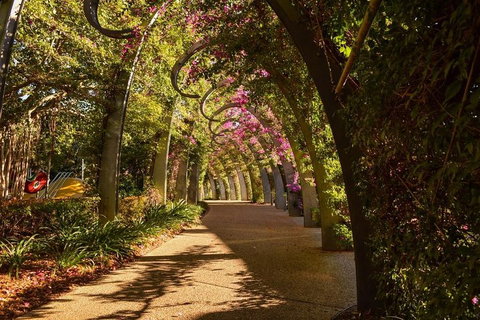 Brisbane Scavenger Hunt: Brisbane's South Bank! - Kawana Tourism 3