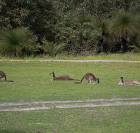 Yanchep  Lancelin - Wildlife Cave And Sands - Kawana Tourism
