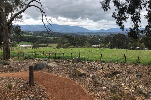 Yarra Valley Wine Tour Inc Lunch With A Glass Of Wine, Tastings And Chocolate - Kawana Tourism 0