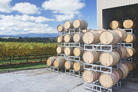 Yarra Valley Wine Tour Inc Lunch With A Glass Of Wine, Tastings And Chocolate - Kawana Tourism 4