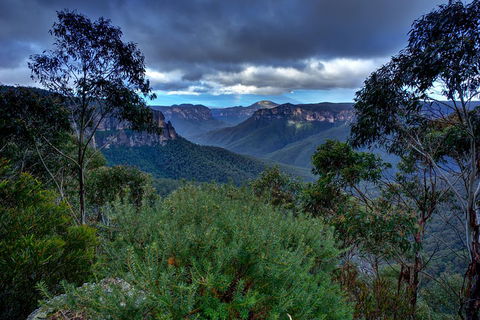 Ultimate Blue Mountains And Wildlife Tour - Kawana Tourism 1