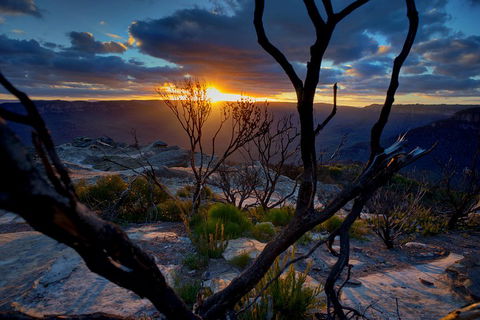 Ultimate Blue Mountains And Wildlife Tour - Kawana Tourism 2
