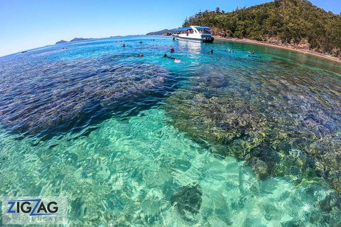 Whitehaven Beach Day Tour With Snorkel In Whitsundays Island - Kawana Tourism 5