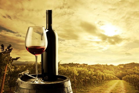 Barossa Valley Cellar Doors Luxury Wine Tour - Kawana Tourism 0
