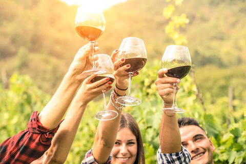 Barossa Valley Cellar Doors Luxury Wine Tour - Kawana Tourism 1