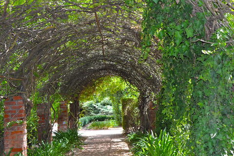 Barossa Valley Cellar Doors Luxury Wine Tour - Kawana Tourism 3