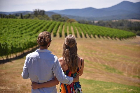 Yarra Valley Wine, Bubbles And Gin Tour! - Kawana Tourism 4