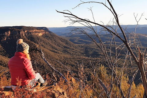Ultimate Blue Mountains Waterfalls, Walks & Sunset PRIVATE Tour - Kawana Tourism 2