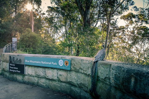 Ultimate Blue Mountains Waterfalls, Walks & Sunset PRIVATE Tour - Kawana Tourism 3