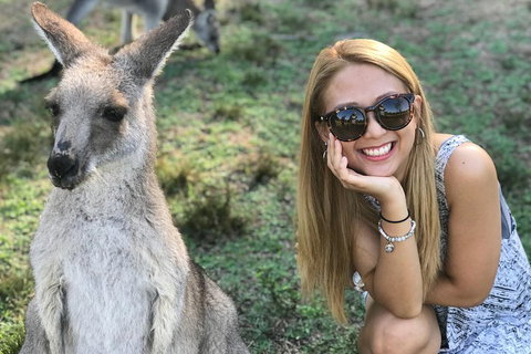 PJ Blue Mountains Supreme Day Tour - Kawana Tourism 2