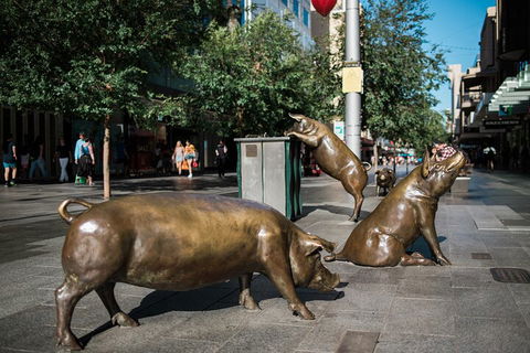 Guided Walking Tour In Adelaide - Kawana Tourism 4