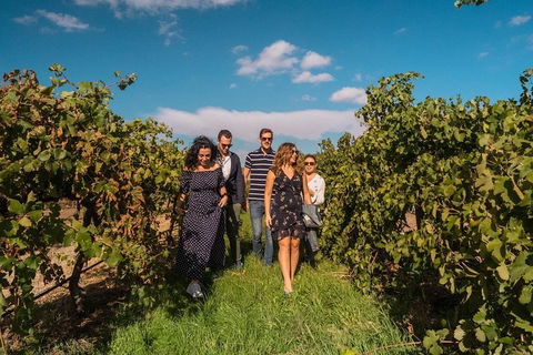 Barossa Valley Private Tour (from 2 To 11 People) - Kawana Tourism 0