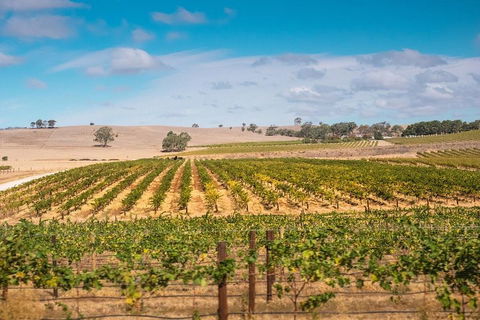 Barossa Valley Private Tour (from 2 To 11 People) - Kawana Tourism 2