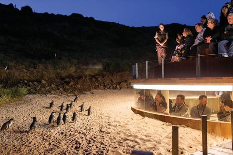 Wilson's Promontory & Phillip Island - 'Prom & Penguins' Tour - Kawana Tourism 3