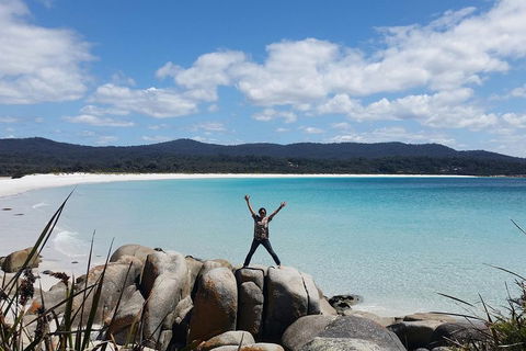 Tasmania 4 Day East Coast + Launceston - Kawana Tourism 1