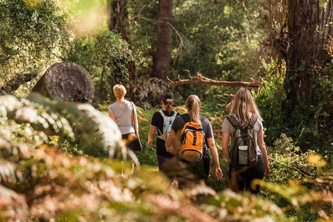 Cabaret Cave Yoga & Mindful Hike - Kawana Tourism 2