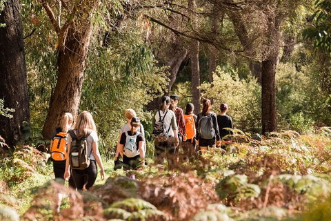 Half-Day Yanchep Ghost House Wilderness Guided Hike Tour - Kawana Tourism 0