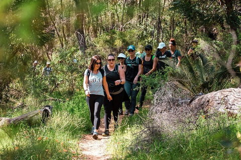 Half-Day Yanchep Ghost House Wilderness Guided Hike Tour - Kawana Tourism 3