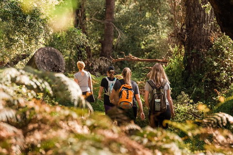 Half-Day Yanchep Ghost House Wilderness Guided Hike Tour - Kawana Tourism 5