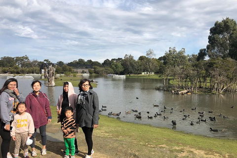 Phillip Island Penguins Private Tour - Kawana Tourism 1