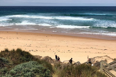 Phillip Island Penguins Private Tour - Kawana Tourism 4