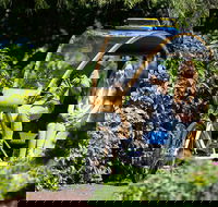 Adelaide 90-Minute Pedicab Tour Scenic Green  River Experience - Kawana Tourism
