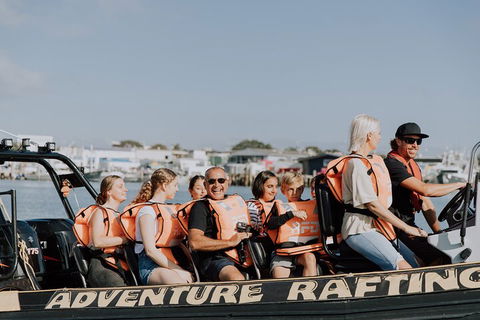 Adventure Whale Watching Tour Mooloolaba - Kawana Tourism 4