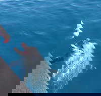 Noosa Thriller - 500hp Ocean Adventure Ride - Kawana Tourism