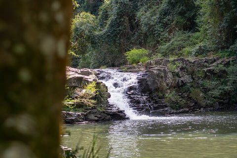 Full-Day Guided Hinterland Adventure Tour In Queensland - Kawana Tourism 1