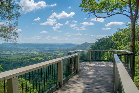 Full-Day Guided Hinterland Adventure Tour In Queensland - Kawana Tourism 2