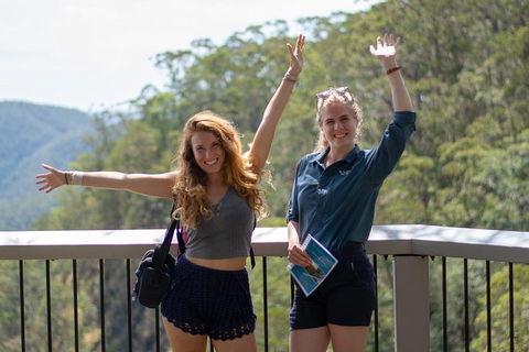 Full-Day Guided Hinterland Adventure Tour In Queensland - Kawana Tourism 3
