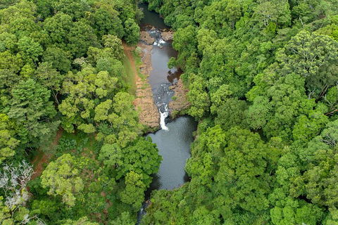 Full-Day Guided Hinterland Adventure Tour In Queensland - Kawana Tourism 4