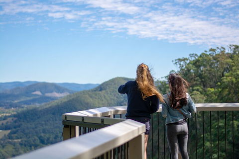 Full-Day Guided Hinterland Adventure Tour In Queensland - Kawana Tourism 5