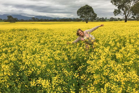 Grampians - Private Tour - Kawana Tourism 3