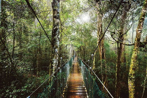 O'Reilly's & Lamington National Park From Gold Coast - Kawana Tourism 0