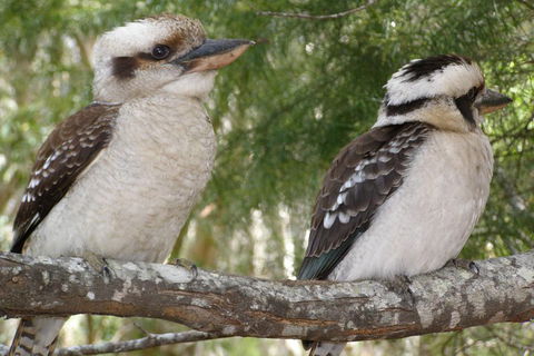 Stradbroke Island 4WD Day Trip From Brisbane - Kawana Tourism 3