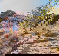 Kings Canyon Day Trip from Ayers Rock Uluru - Kawana Tourism