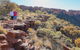 Kings Canyon Day Trip From Ayers Rock (Uluru) - thumb 1