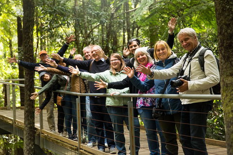 All Inclusive Blue Mountains Small-Group Day Trip From Sydney - Kawana Tourism 5