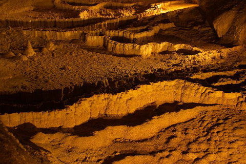 The Explorers' Discovery Tour - Gold, Wine & Wildlife - Kawana Tourism 0