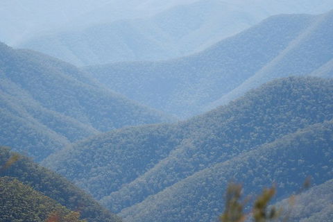 From The Mountains To The Bay - 4 Day Rediscovery Private Tour - Kawana Tourism 1
