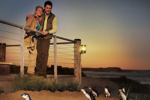 The Ultimate Melbourne Attractions Pass - Kawana Tourism 3